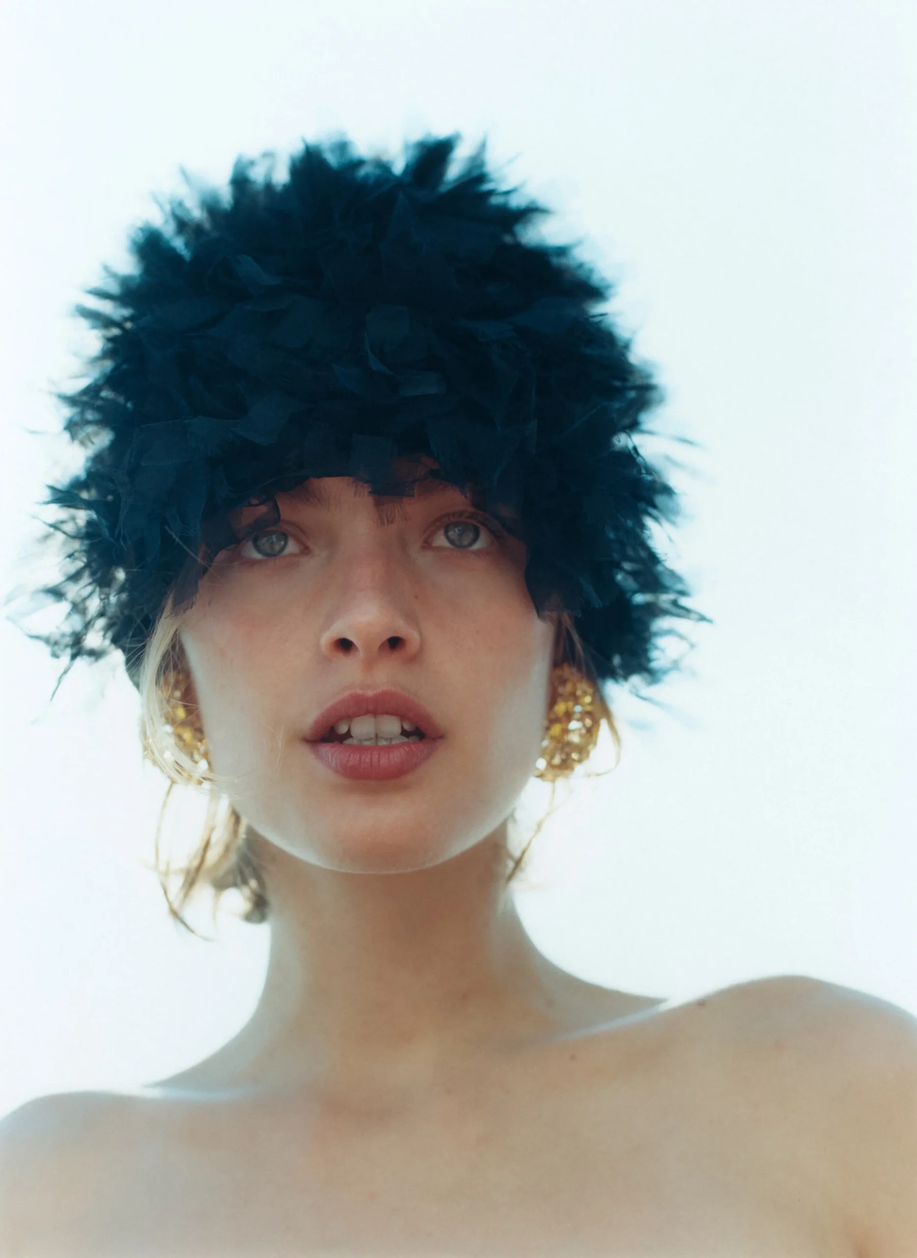 Birds Of Feather Editorial with Rolf Schrader