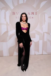 Dua Lipa Bvlgari gala velvet black dress plum bust detail